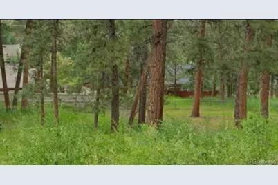 Spruce Road, Evergreen, CO 80439 - Photo 7