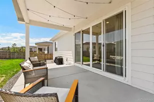 4085 Castle Vis Dr, Castle Rock, CO 80104 - Photo 21