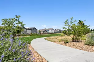 7329 Crystal Ave, Frederick, CO 80530 - Photo 19