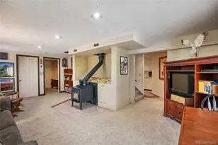 381 Saddleback Creek Dr, Florissant, CO 80816 - Photo 25