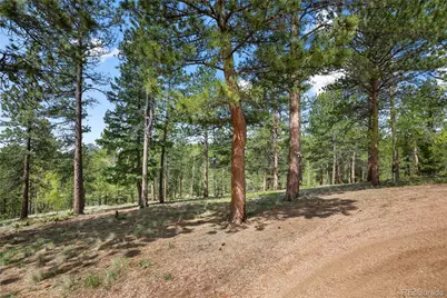 381 Saddleback Creek Drive, Florissant, CO 80816 - Photo 39