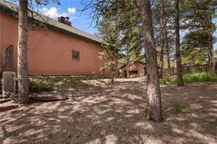 381 Saddleback Creek Dr, Florissant, CO 80816 - Photo 35