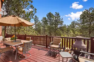 381 Saddleback Creek Dr, Florissant, CO 80816 - Photo 33