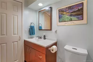 381 Saddleback Creek Dr, Florissant, CO 80816 - Photo 31