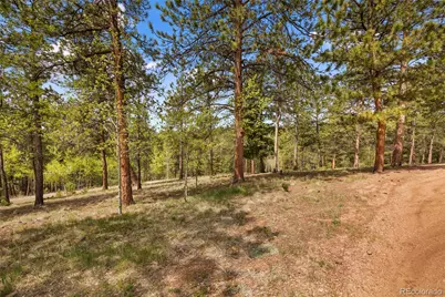381 Saddleback Creek Drive, Florissant, CO 80816 - Photo 9