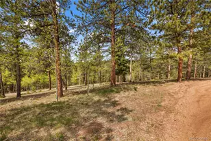381 Saddleback Creek Dr, Florissant, CO 80816 - Photo 9