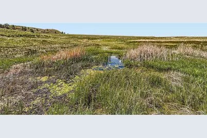 11750 S State Highway 83, Franktown, CO 80116 - Photo 11