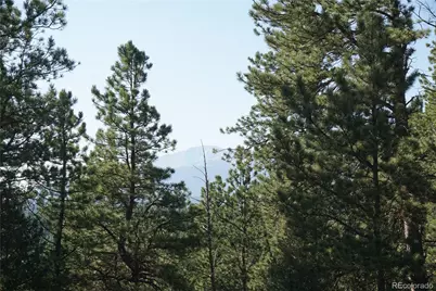 422 Spring Valley Drive, Divide, CO 80814 - Photo 7