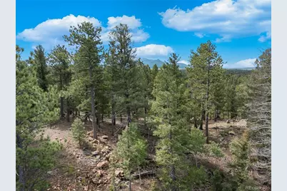 422 Spring Valley Drive, Divide, CO 80814 - Photo 23