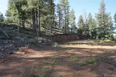 422 Spring Valley Drive, Divide, CO 80814 - Photo 3