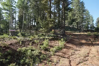 422 Spring Valley Drive, Divide, CO 80814 - Photo 17