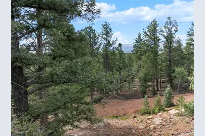 422 Spring Valley Drive, Divide, CO 80814 - Photo 21