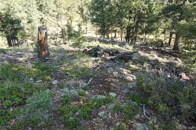 422 Spring Valley Drive, Divide, CO 80814 - Photo 19