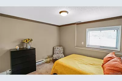 262 Dick Mountain Drive, Bailey, CO 80421 - Photo 15