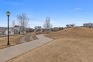 4526 Grapevine Way, Castle Rock, CO 80109 - Photo 33