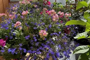 33 Cottonwood Dr, Antonito, CO 81120 - Photo 37