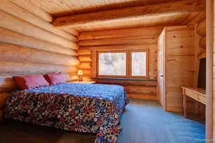 33 Cottonwood Dr, Antonito, CO 81120 - Photo 15