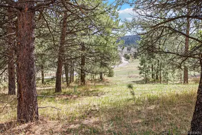 6068 S Skyline Drive, Evergreen, CO 80439 - Photo 19