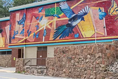 6068 S Skyline Drive, Evergreen, CO 80439 - Photo 43