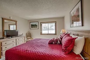 317 W La Bonte St, Dillon, CO 80435 - Photo 17