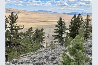 3129 Redhill Road, Fairplay, CO 80440 - Photo 43