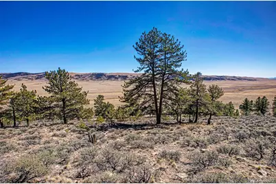 3129 Redhill Road, Fairplay, CO 80440 - Photo 9