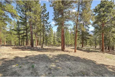 30220 Columbia Point, Buena Vista, CO 81211 - Photo 49