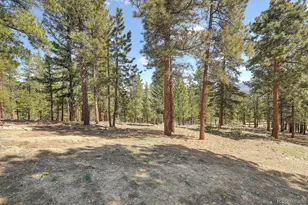 30220 Columbia Point, Buena Vista, CO 81211 - Photo 49