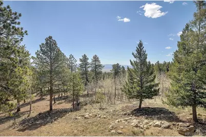 30220 Columbia Point, Buena Vista, CO 81211 - Photo 47