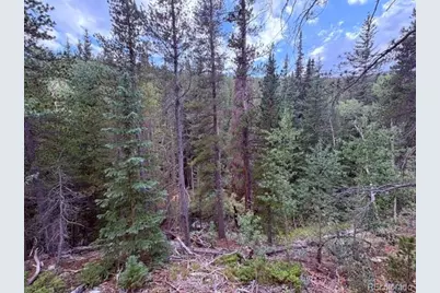 733 Rainbow Road, Idaho Springs, CO 80452 - Photo 35