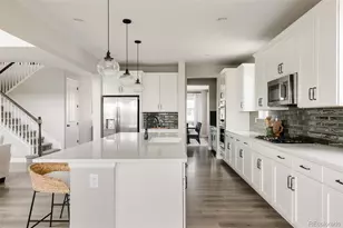 1108 Melting Snow Way, Castle Rock, CO 80109 - Photo 5