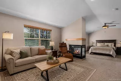 1394 Black Pine Court, Castle Rock, CO 80104 - Photo 21