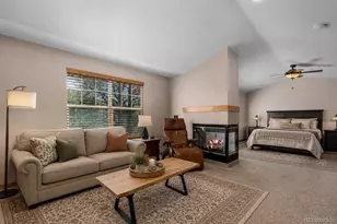 1394 Black Pine Ct, Castle Rock, CO 80104 - Photo 21
