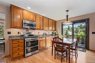 1394 Black Pine Ct, Castle Rock, CO 80104 - Photo 13