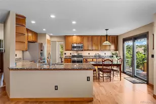 1394 Black Pine Ct, Castle Rock, CO 80104 - Photo 11