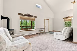271 Willow Ln, Alma, CO 80420 - Photo 3