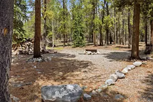271 Willow Ln, Alma, CO 80420 - Photo 15