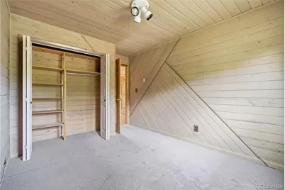 31050 Manitoba Drive, Evergreen, CO 80439 - Photo 19