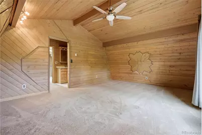 31050 Manitoba Drive, Evergreen, CO 80439 - Photo 41