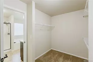 1019 Mount Oxford Ave, Windsor, CO 80550 - Photo 37