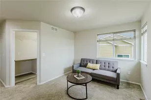 1019 Mount Oxford Ave, Windsor, CO 80550 - Photo 29