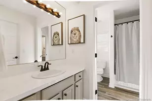 12457 Topaz Vista Way, Castle Pines, CO 80108 - Photo 49