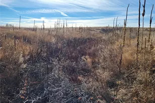 35635 County Rd 160, Agate, CO 80101 - Photo 31