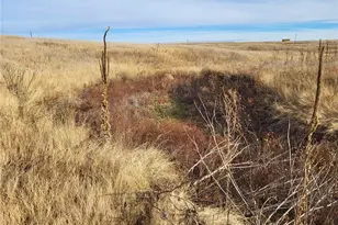 35635 County Rd 160, Agate, CO 80101 - Photo 25