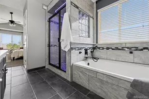 537 Pitkin Way, Castle Rock, CO 80104 - Photo 31