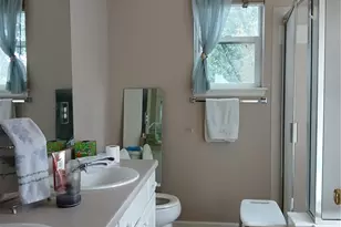 7093 Leopard Dr, Lone Tree, CO 80124 - Photo 9