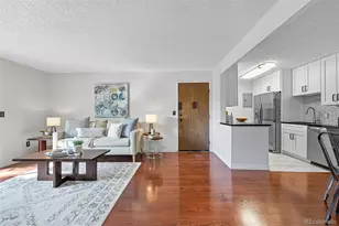 381 S Ames St, Lakewood, CO 80226 - Photo 9