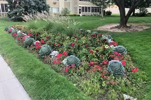 580 S Clinton St, Denver, CO 80247 - Photo 45