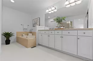 9023 Old Tom Morris Cir, Highlands Ranch, CO 80129 - Photo 29