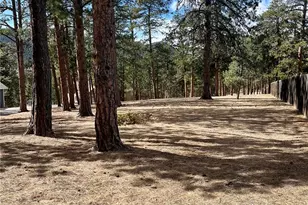 0 Pawnee Rd, Indian Hills, CO 80454 - Photo 1